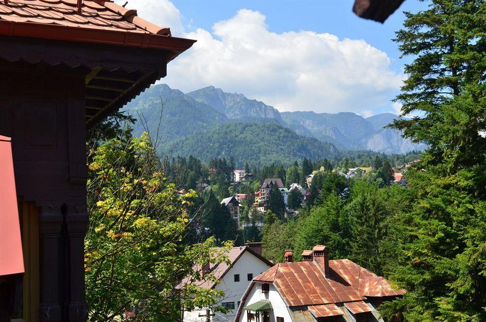 Vila Arizto Sinaia Exterior photo
