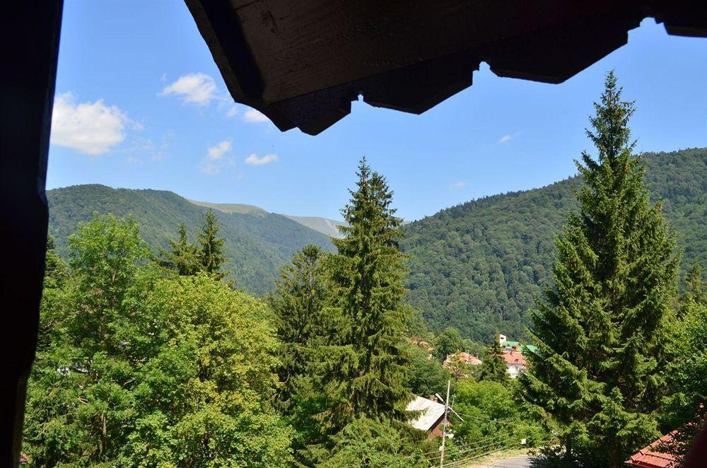 Vila Arizto Sinaia Exterior photo