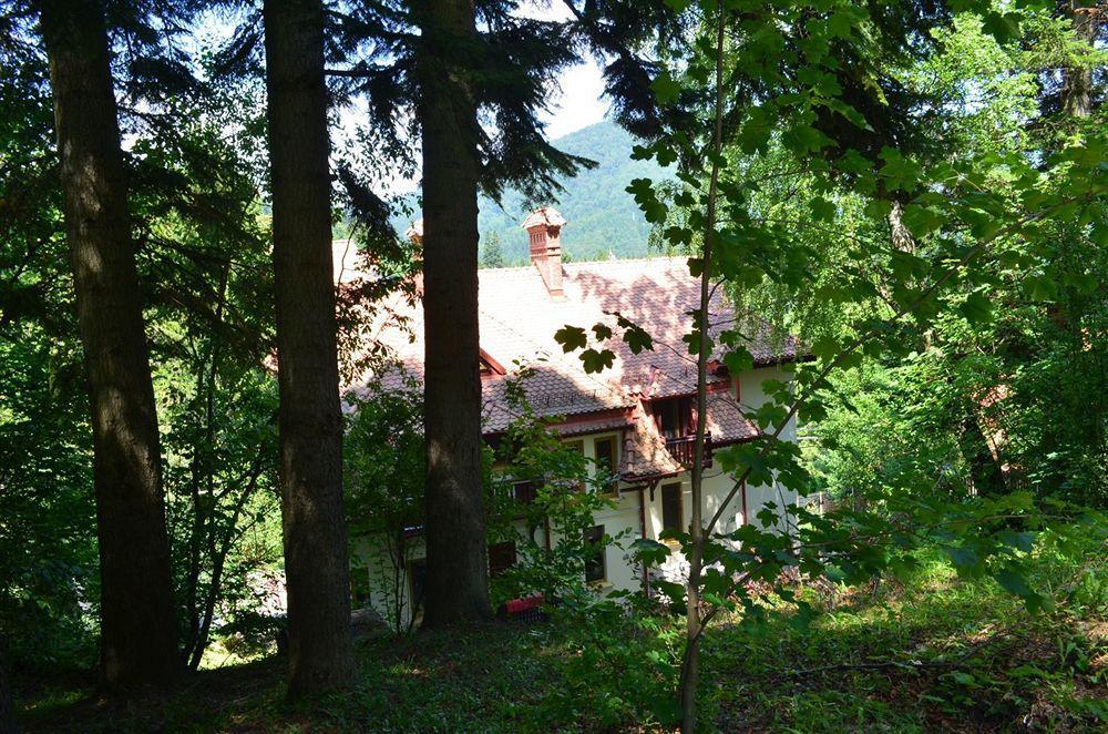 Vila Arizto Sinaia Exterior photo