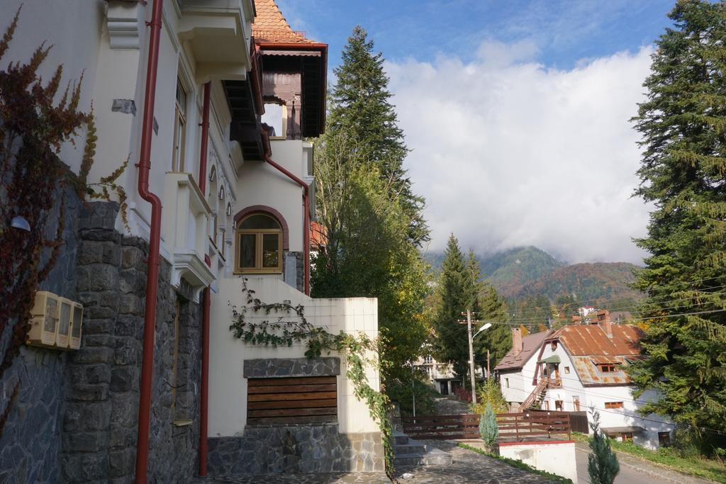 Vila Arizto Sinaia Exterior photo