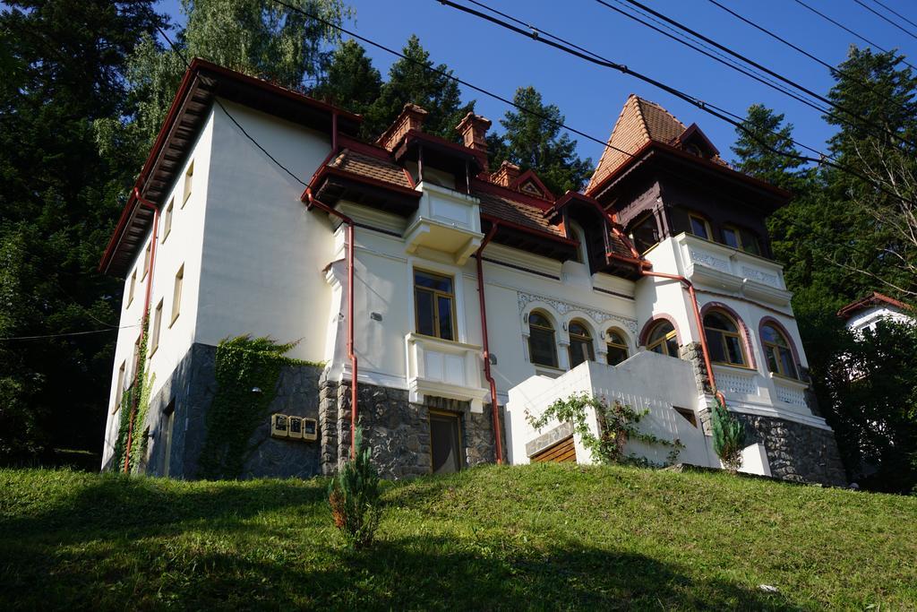 Vila Arizto Sinaia Exterior photo
