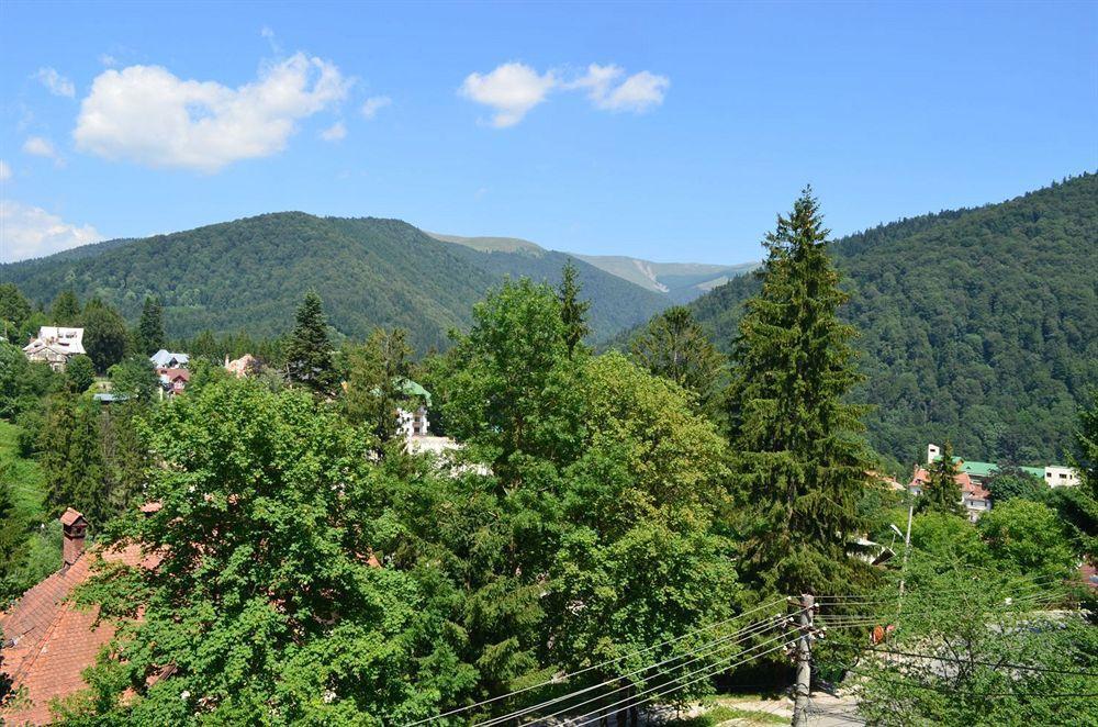 Vila Arizto Sinaia Exterior photo