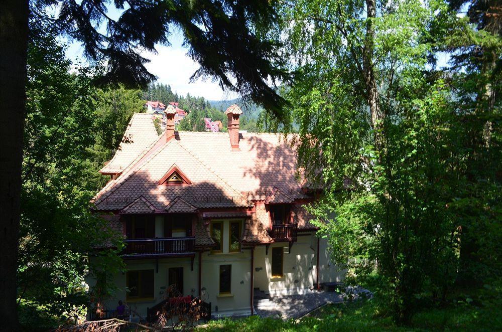 Vila Arizto Sinaia Exterior photo
